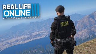 DAMIT ALLES GLATT LÄUFT!  - Real Life Online 3.0