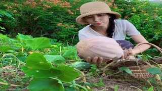 Enjoy beautiful nature with rural life 023 Live # MP Fresh