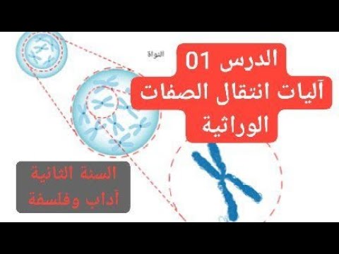 اليات انتقال الصفات الوراثية للسنة الثانية ادب وفلسفة