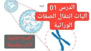 اليات انتقال الصفات الوراثية للسنة الثانية ادب وفلسفة