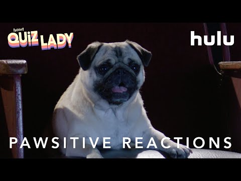 Quiz Lady | PAWsitive Reactions | Now Streaming On Hulu