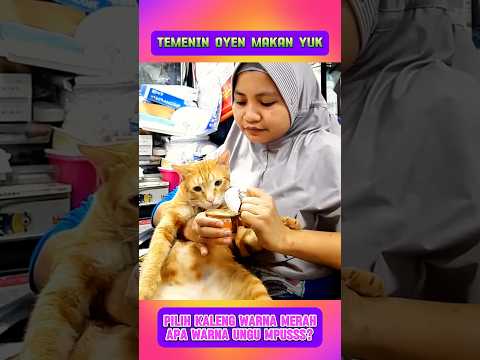 Oyen pilih kaleng warna ungu #shorts #kucing #kucinglucu
