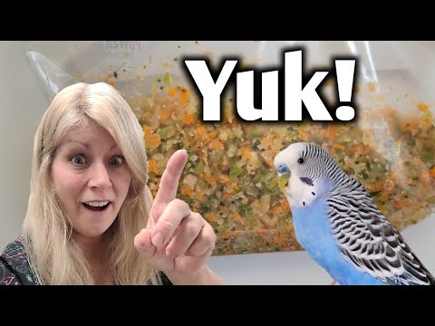 Finally! Birds Actually Love Their Frozen Chop Mix Now