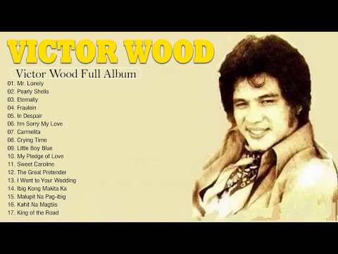 Victor Wood 2024 MIX ~ Top 20 Best Songs ~ Greatest Hits ~ Victor Wood Full Album