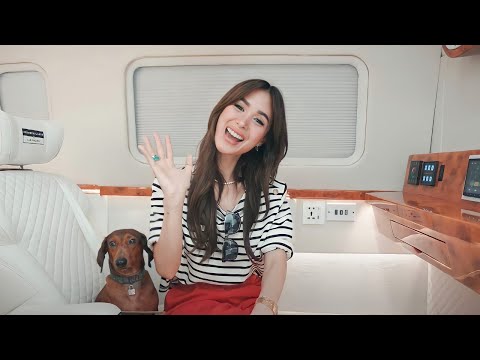 INSIDE MY PRIMERA KLASSE X MARK BUMGARNER VAN | Heart Evangelista
