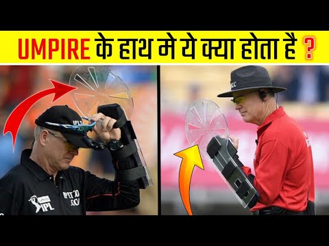 3 गजब के Facts | What Do Umpires Have In Their Hand ? | FactLez | #shorts