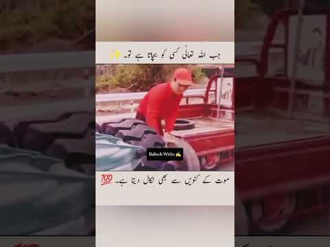 بیشک اللہ ہر چیز پر قادر ہے #hearttouching #duet #zakirnaik #shorts #youtubeshorts #viralvideo #duet