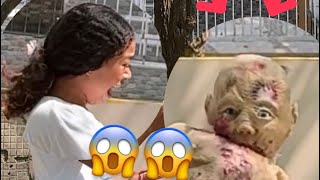 😂😂😱😱 #humor #trending #funny #viralshort #viralvideo