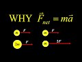 Newton's Laws and Forces