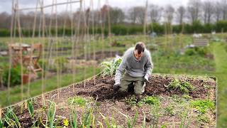 Growing vegetables from seed - spring in the allotment Ep 2