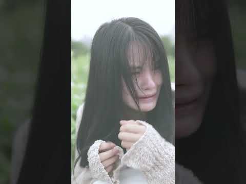 P1狗狗的一生很短，只够爱一人，只愿意对你一人不离不弃#puppy #cute #touched #warmth #fyp #shorts