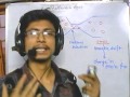 Bottleneck and Founder Effects in Evolution