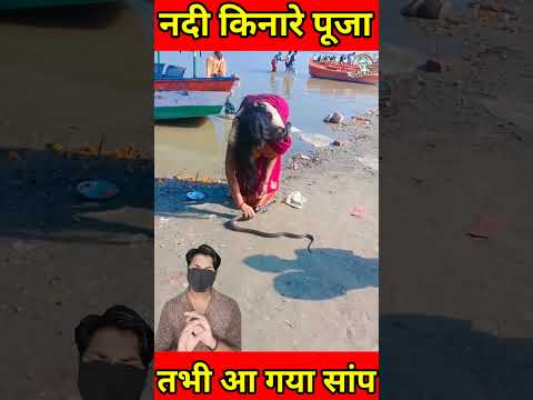 नदी किनारे पूजा कर रही थी म​हिला, तभी आ गया सांप #shorts #snake