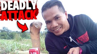 These 3 People Get FATALLY Attacked After Photograph With Wild Animals!