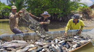 Rạn Đập Bắt Cá – Trúng Mánh Hơn 300KG, Cá Chở Đầy Xuồng | Chuyện Phương Kể