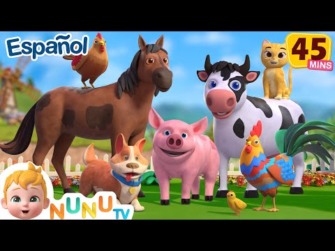 🐄 Old MacDonald 🐷 y 👶 Familia Dedo 👶 | Compilación Infantil | NuNu Tv Canciones Infantiles