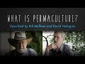 Sustainable Systems and Permaculture Concepts