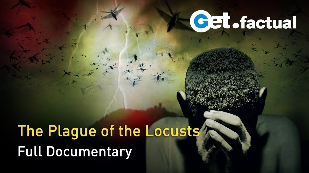 Locusts: a Trail of Destruction - Full Documentary