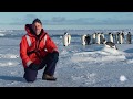 Phytoplankton Responses to Environmental Factors