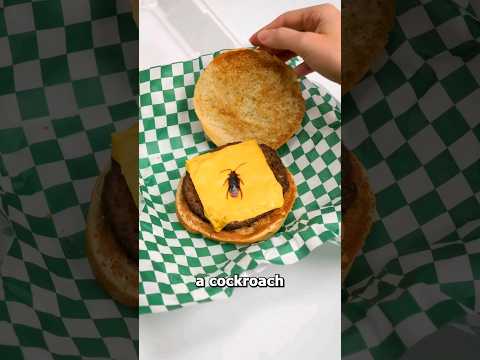 cockroach 💀 #funny