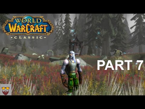 Night Elf Warrior Classic Wow 09 2021