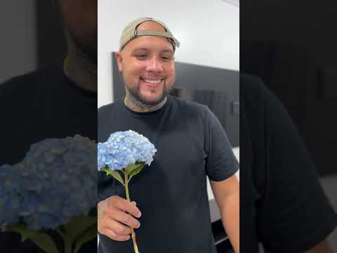Minha esposa e o meu melhor amigo não poderiam imaginar que eu já sabia de toda a verdade!