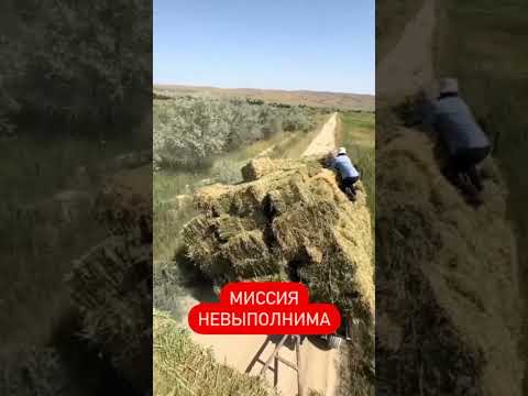 Самые опасные грузчики сена в Дагестане!