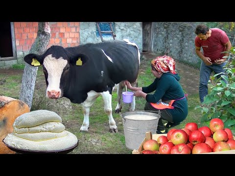 CHEESE MAKING at Home | Make Your Own Homemade Cheese | Spend 2 Hours with PEASANT