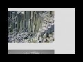 Types and Characteristics of Rocks