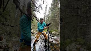 how to capture next level selfies
