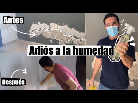 ✅Elimina la HUMEDAD, SALITRE Y MOHO de TECHOS Y PAREDES 💧🏡🔨