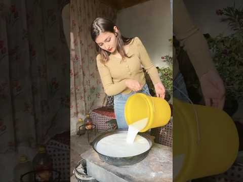 Village Life: Uyghur Girl Makes Fresh Yogurt from Her Cow’s Milk