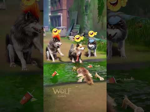 😓No More Mr. Nice Jerry — Time to Fight Back!🐺 👊 #wolfgame #wolf #animalshorts #wolfstory