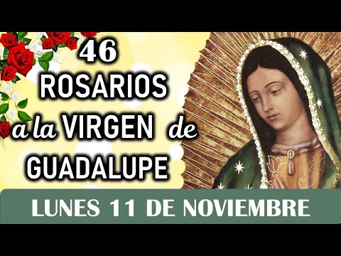 46 Rosarios a la Santísima Virgen de Guadalupe, Lunes 11 de Noviembre, Dia 15 🌿🌹🌿Misterios Gozosos 🌿