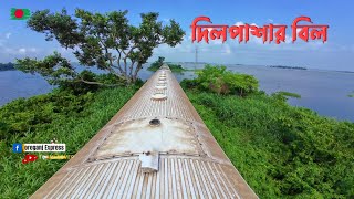 Train rooftop views of Chalan Beel—peace, beauty, and freedom all in one frame