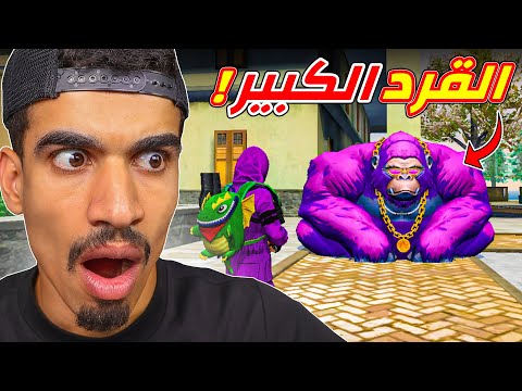 القرد الكبير صدمني !!