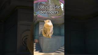 Which site do you like ? #valorant #lotus #shorts