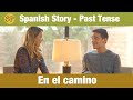 Comprensión del Video: La Historia del Gato