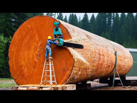 LOS MEJORES INVENTOS PARA LA EXPLOTACIÓN FORESTAL