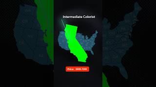 The real cost of an In-House colorist