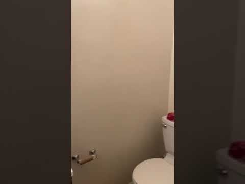 Apartment Video