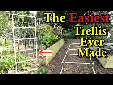 How to Build PVC Ladder Trellises in Any Shape & Size You Want (Easy Build, Assembly, & Storage)