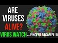 Understanding Viruses and Their Characteristics