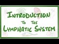 Lymphatic System Functions and Structures