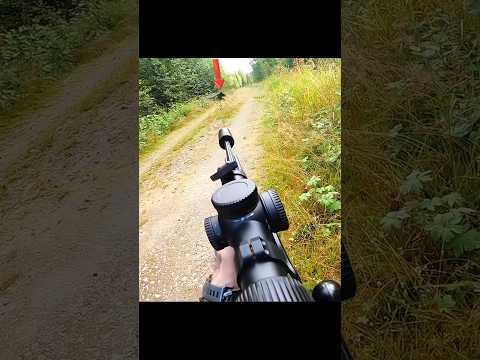 Hardest Hunt of My Life – Grizzly Bear Tracking#GrizzlyHunt#BearHunting#GrizzlyBear