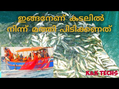 ഇങ്ങനേണ് കടലിൽ നിന്ന് മത്തി പിടിക്കണത്.. ???/sea fishing