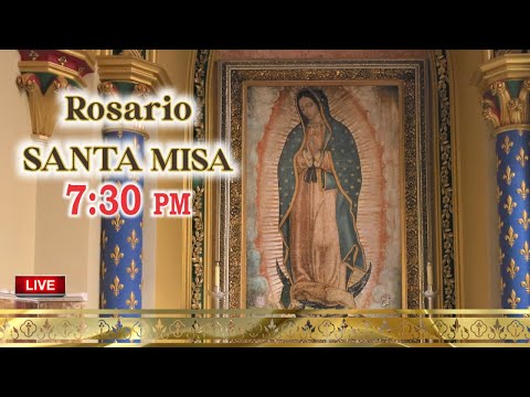 🔴 ROSARIO Y MISA EN VIVO 8-11-2024 🔴