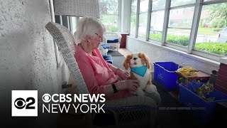 YouTube video thumbnail: AI and Robotic Companions Helping Aging New Yorkers