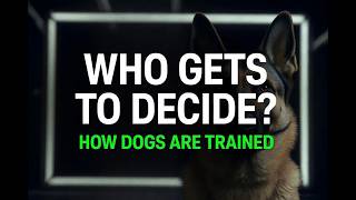 Who Gets to Decide How Dogs Are Trained?