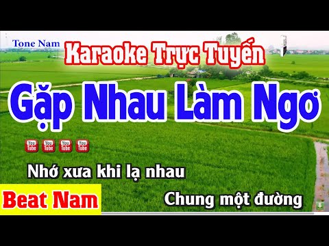 Gặp Nhau Làm Ngơ Karaoke Tone Nam – Nhạc Sống Thanh Ngân